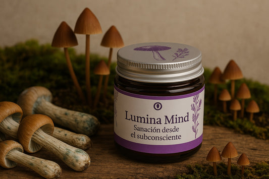 Lumina Mind - Sanación desde el subconsciente